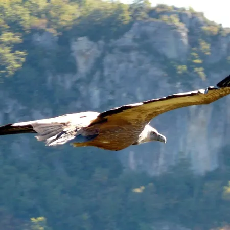 Castel De - L'egyptien Semesterbostad *