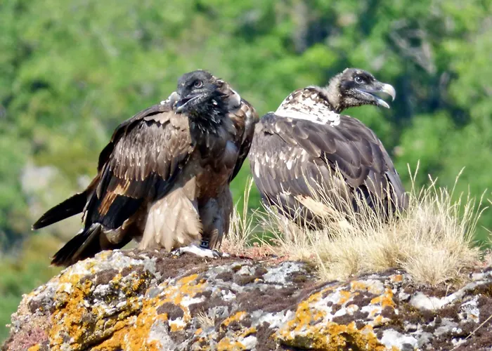 Castel De - L'egyptien Feriehus